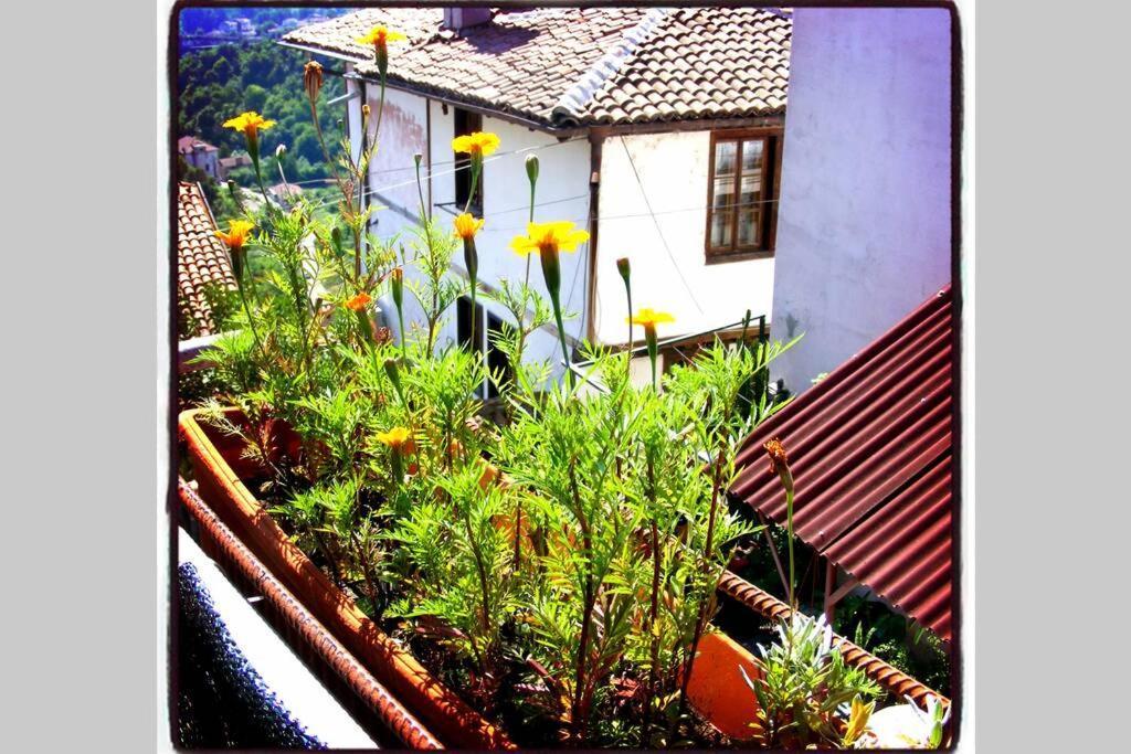 Authentic Guest Stay In The Heart Of Veliko Tarnovo Студио С Изглед Към Царевец Zewnętrze zdjęcie